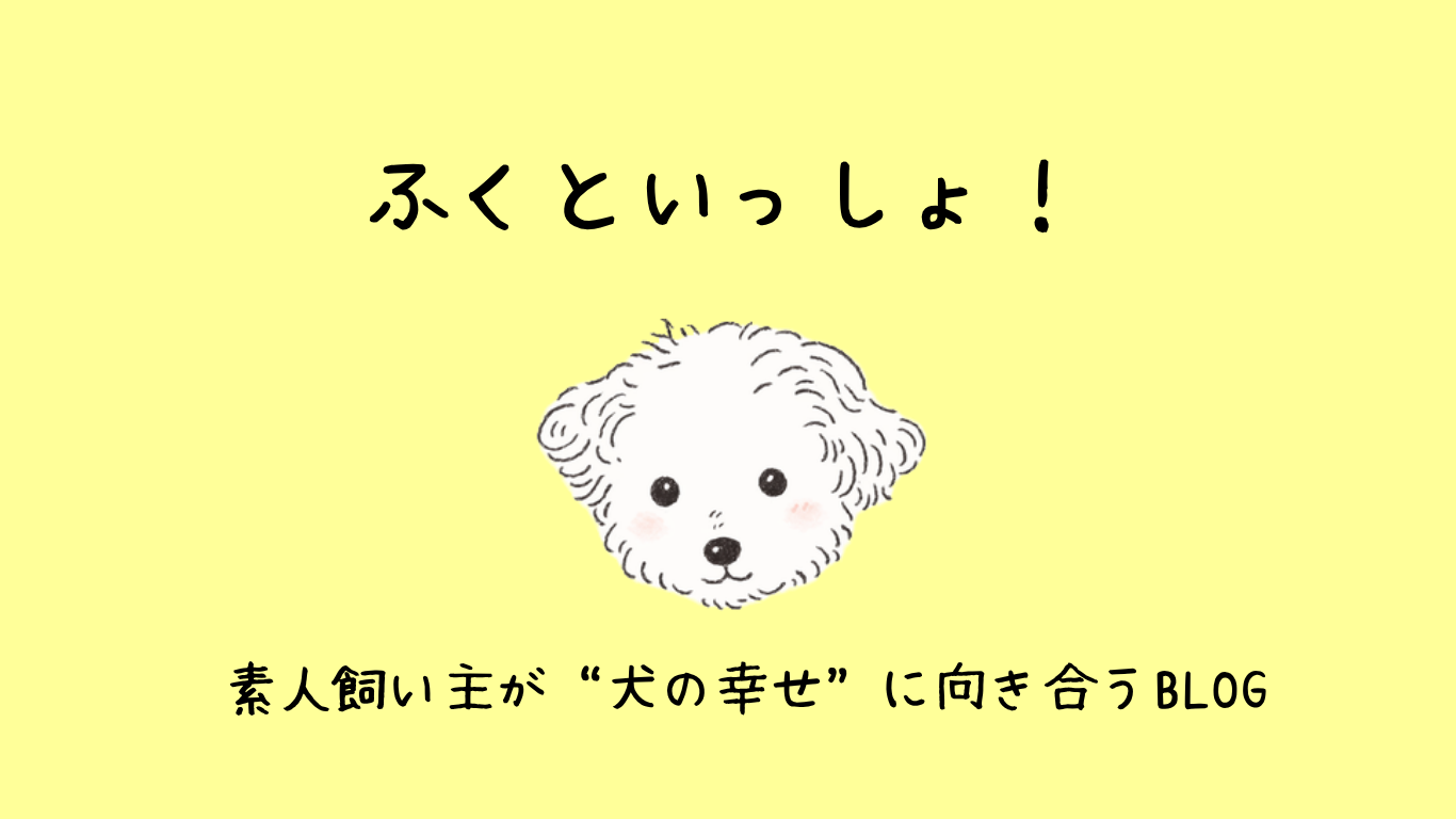 ふくといっしょ！｜素人飼い主が“犬の幸せ”に向き合うBLOG