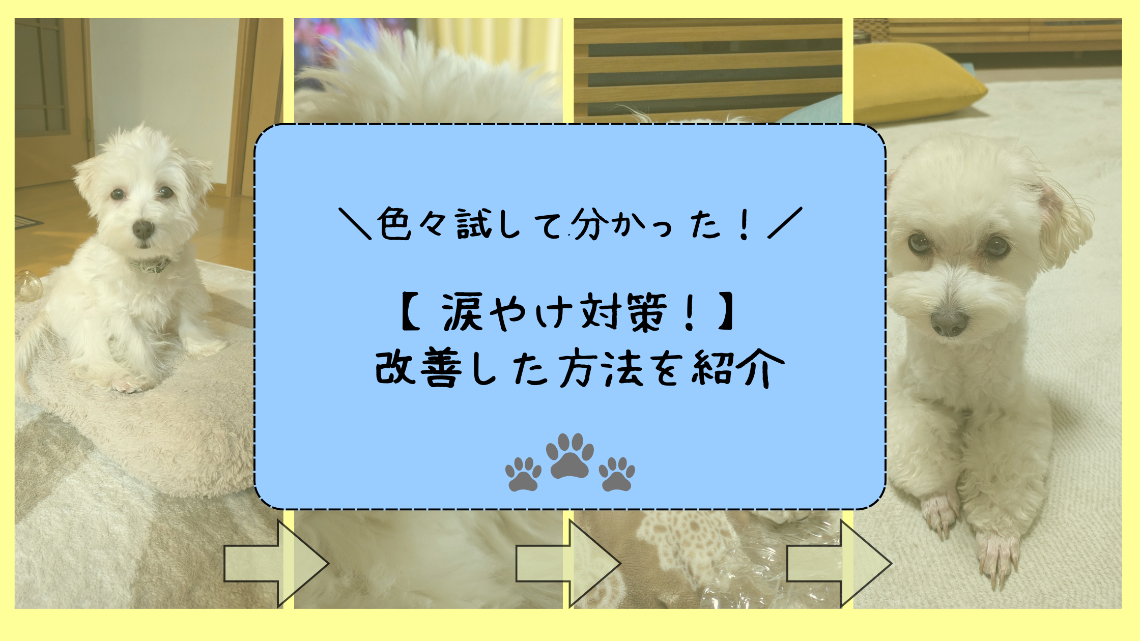 ＼色々試して分かった！／【涙やけ対策！】改善した方法を紹介